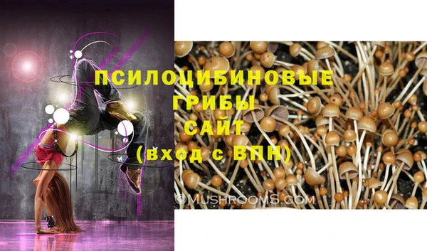 мдпв Медногорск