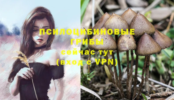 мдпв Медногорск