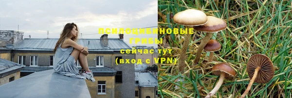 прущая мука Медвежьегорск