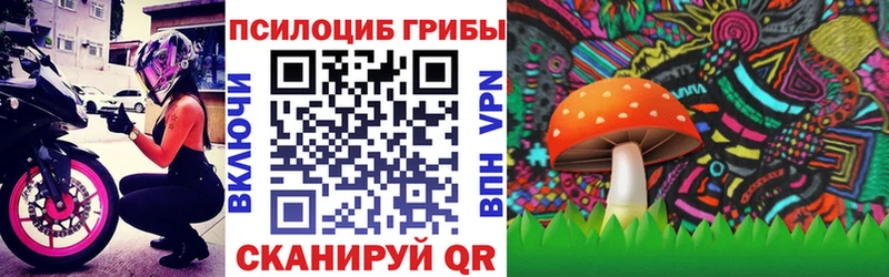 купить закладку Новое Девяткино Галлюциногенные грибы прущие грибы